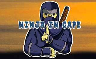 Ninja In Cape