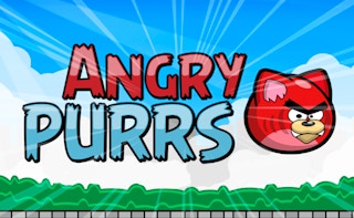 Angry Purrs